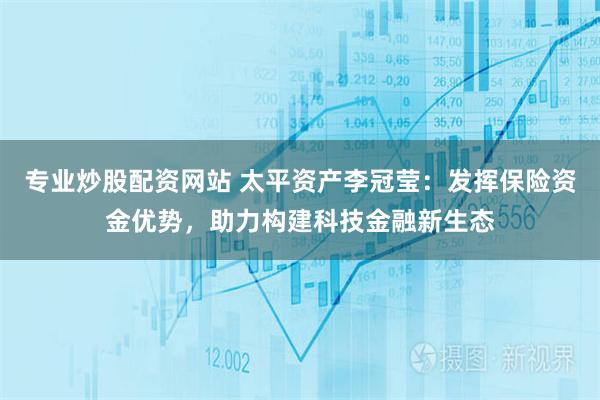 专业炒股配资网站 太平资产李冠莹：发挥保险资金优势，助力构建科技金融新生态