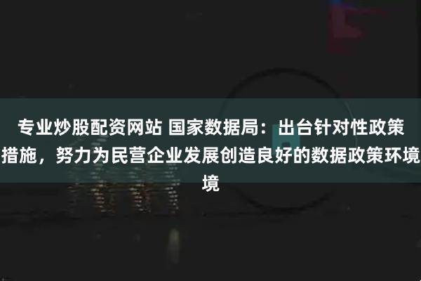 专业炒股配资网站 国家数据局：出台针对性政策措施，努力为民营企业发展创造良好的数据政策环境