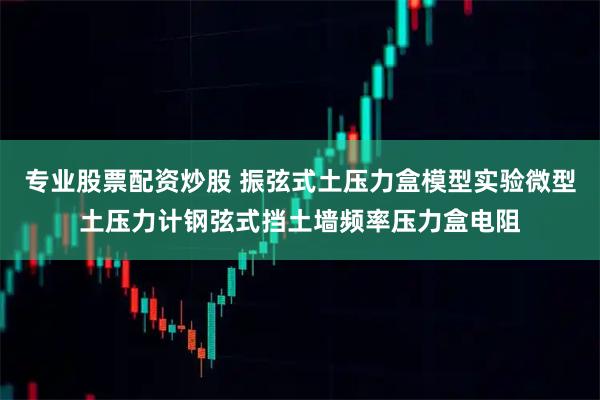 专业股票配资炒股 振弦式土压力盒模型实验微型土压力计钢弦式挡土墙频率压力盒电阻